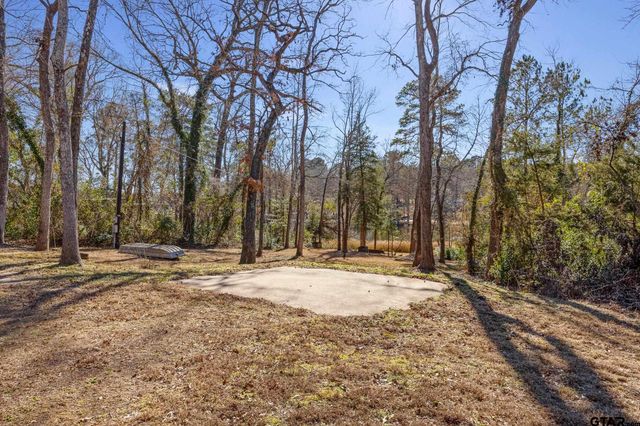 20616 E Grove Club Lake Rd, Whitehouse, TX 75791