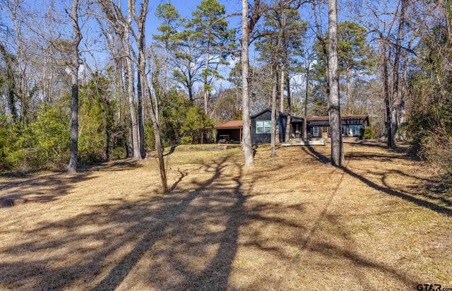 20616 E Grove Club Lake Rd, Whitehouse, TX 75791