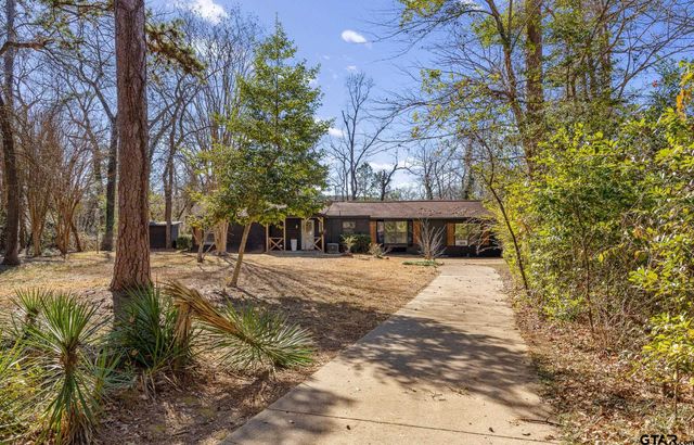 20616 E Grove Club Lake Rd, Whitehouse, TX 75791