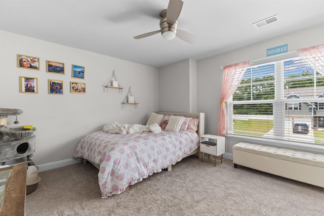 421 Cattle Drive Circle, Myrtle Beach, SC 29588