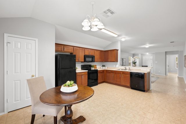 13305 Ring DR, Manor, TX 78653