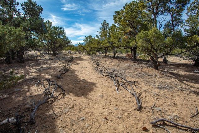 33071 County Road 371, Buena Vista, CO 81211