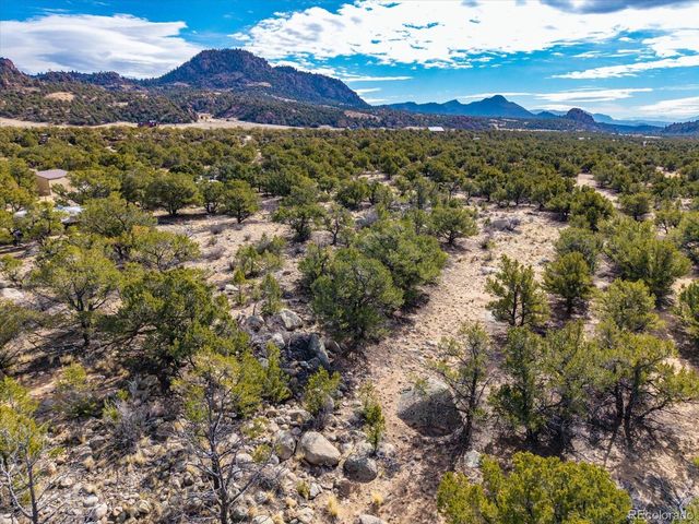 33071 County Road 371, Buena Vista, CO 81211