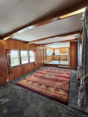 33071 County Road 371, Buena Vista, CO 81211