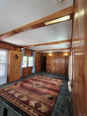 33071 County Road 371, Buena Vista, CO 81211