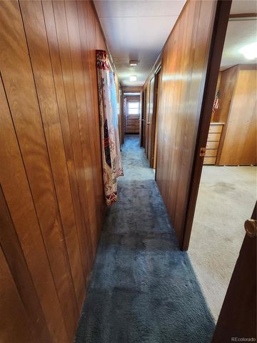 33071 County Road 371, Buena Vista, CO 81211