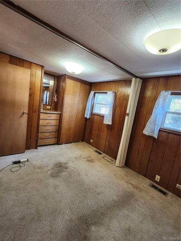 33071 County Road 371, Buena Vista, CO 81211