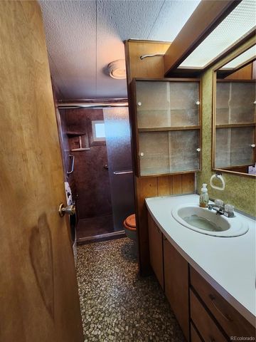 33071 County Road 371, Buena Vista, CO 81211