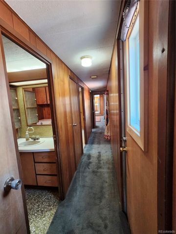 33071 County Road 371, Buena Vista, CO 81211