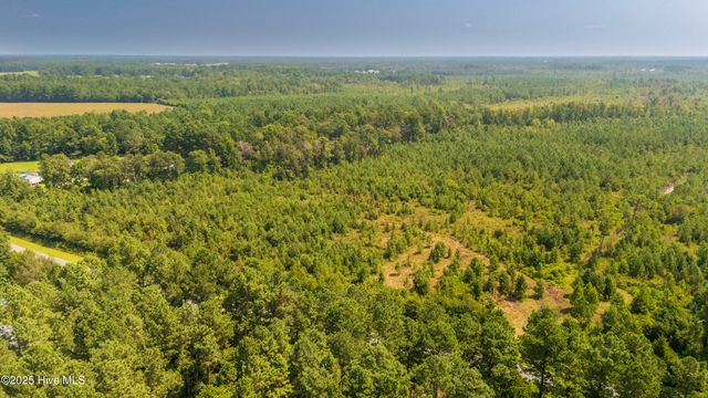 28.6 Acres Fountaintown Road, Beulaville, NC 28518