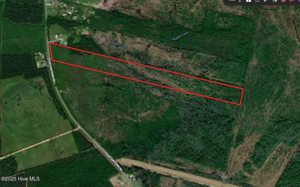 28.6 Acres Fountaintown Road, Beulaville, NC 28518