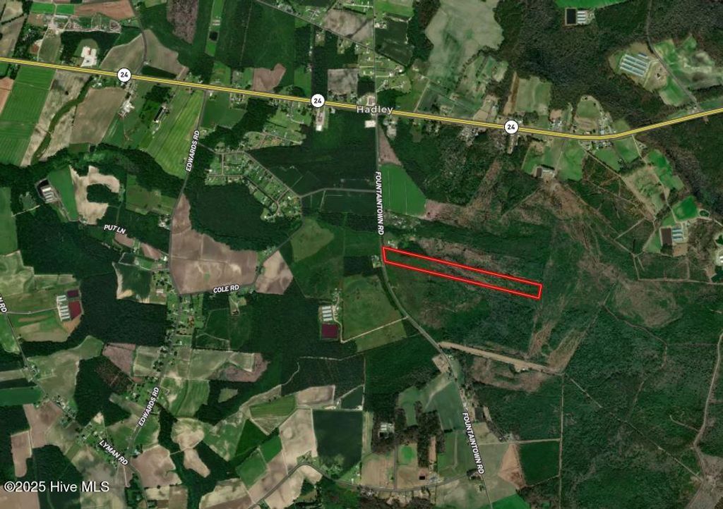28.6 Acres Fountaintown Road, Beulaville, NC 28518
