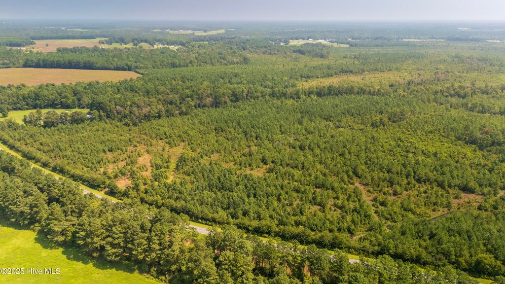 28.6 Acres Fountaintown Road, Beulaville, NC 28518