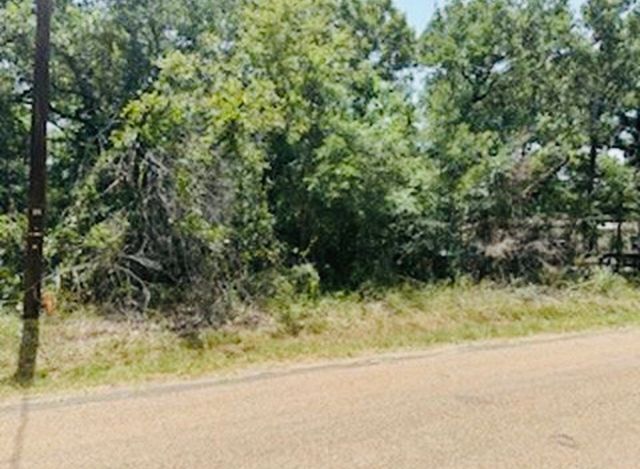 0 Albany Drive, Mabank, TX 75156