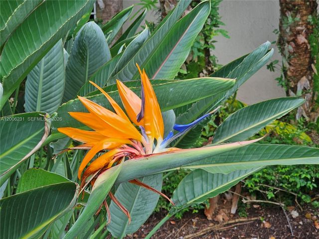 20400 W Country Club Dr 315, Aventura, FL 33180