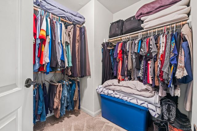 20555 Iron Seat Drive, Hockley, TX 77447