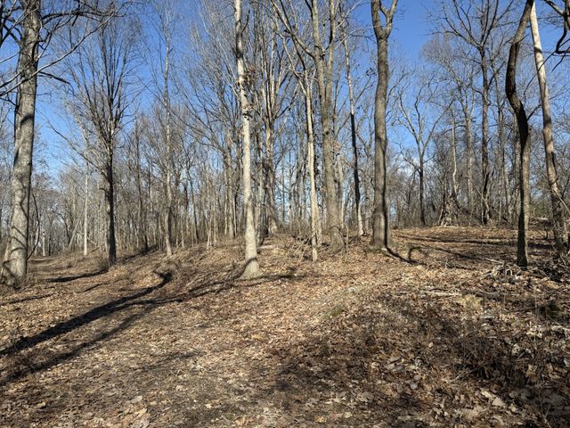 0 Hester Beasley Rd Lot 1, Nashville, TN 37221