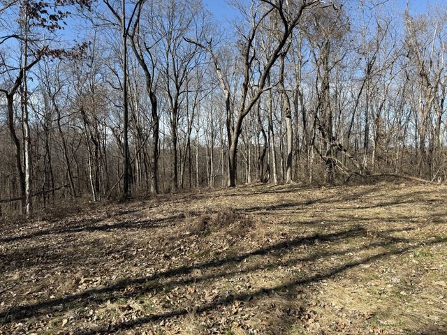 0 Hester Beasley Rd Lot 1, Nashville, TN 37221
