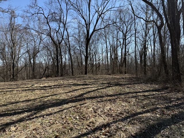 0 Hester Beasley Rd Lot 1, Nashville, TN 37221