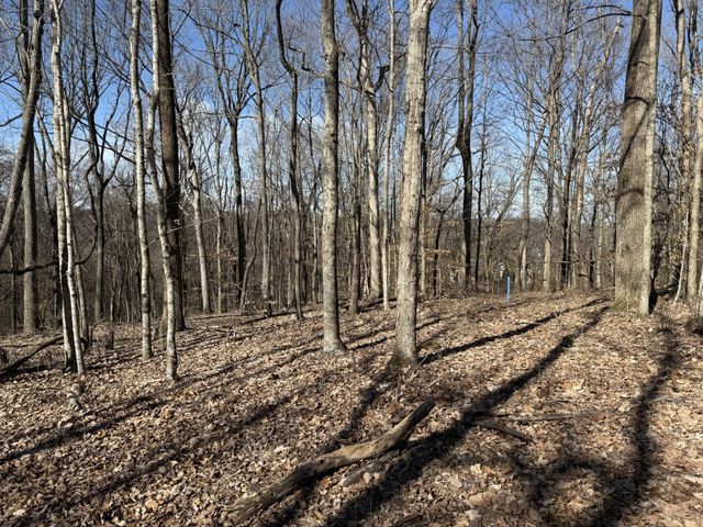 0 Hester Beasley Rd Lot 1, Nashville, TN 37221