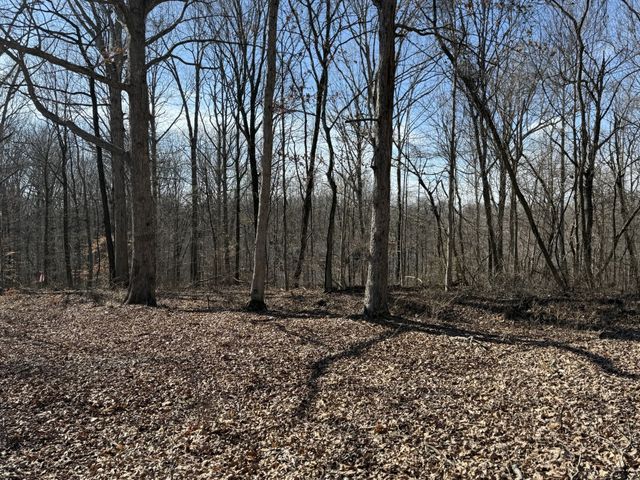 0 Hester Beasley Rd Lot 1, Nashville, TN 37221
