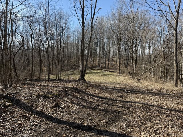 0 Hester Beasley Rd Lot 1, Nashville, TN 37221