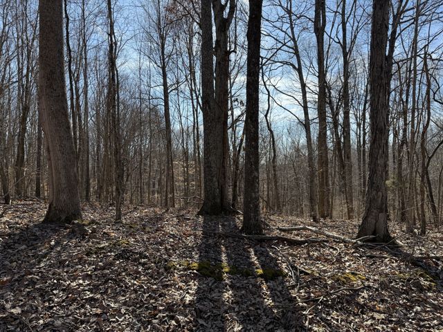 0 Hester Beasley Rd Lot 1, Nashville, TN 37221