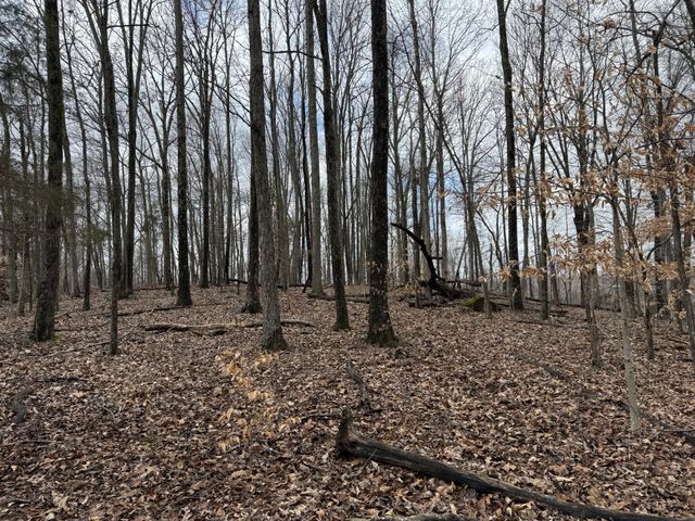 0 Hester Beasley Rd Lot 1, Nashville, TN 37221