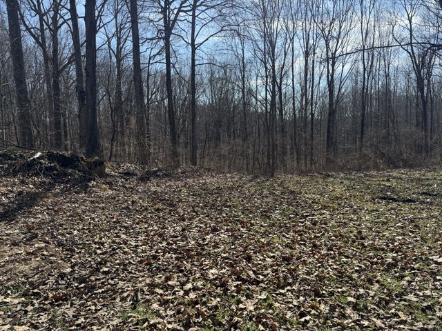 0 Hester Beasley Rd Lot 1, Nashville, TN 37221