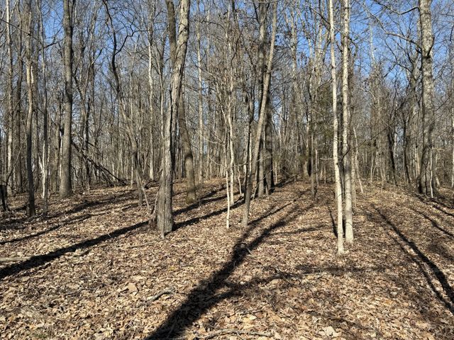 0 Hester Beasley Rd Lot 1, Nashville, TN 37221