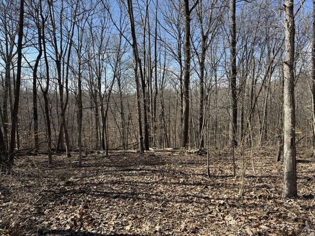 0 Hester Beasley Rd Lot 1, Nashville, TN 37221