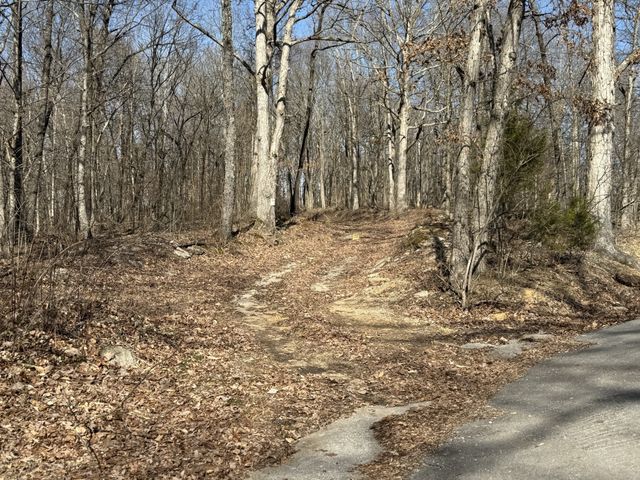 0 Hester Beasley Rd Lot 1, Nashville, TN 37221