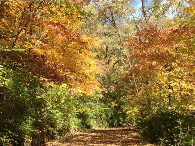 0 Hester Beasley Rd Lot 1, Nashville, TN 37221