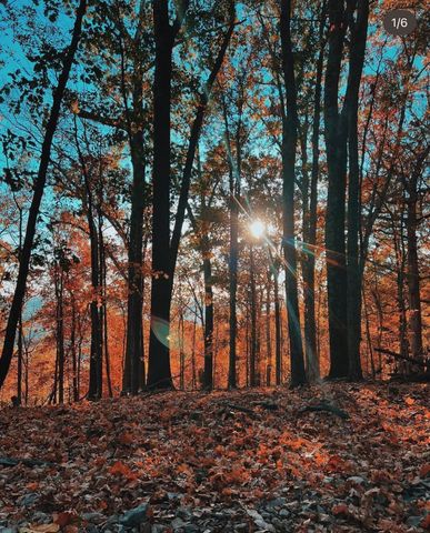 0 Hester Beasley Rd Lot 1, Nashville, TN 37221