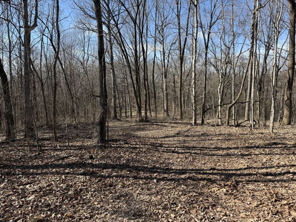 0 Hester Beasley Rd Lot 1, Nashville, TN 37221