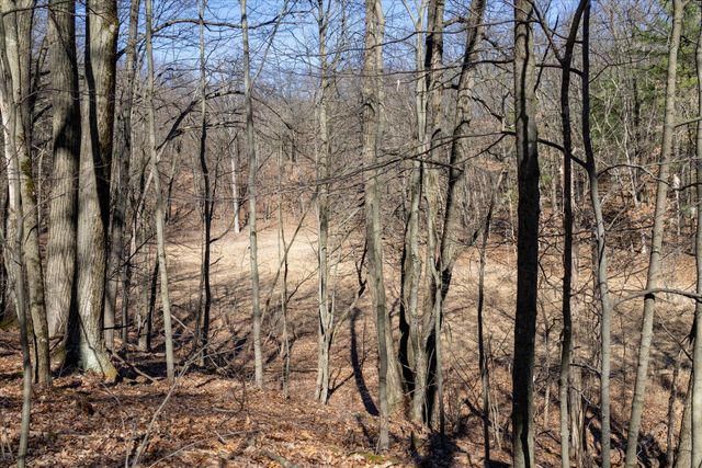 14714 Myers Lake Avenue NE Parcel B, Cedar Springs, MI 49319