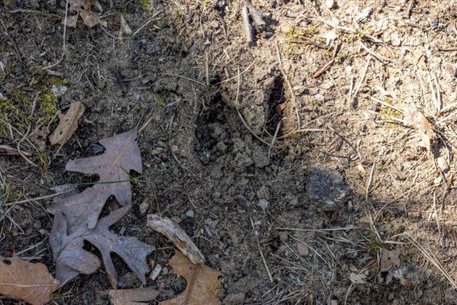 14714 Myers Lake Avenue NE Parcel B, Cedar Springs, MI 49319