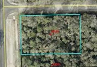 6665 WALNUT AVENUE, Bunnell, FL 32110