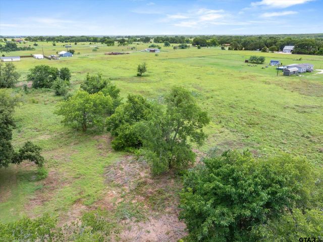 LOT 4R W Cedar PKWY, Kemp, TX 75143
