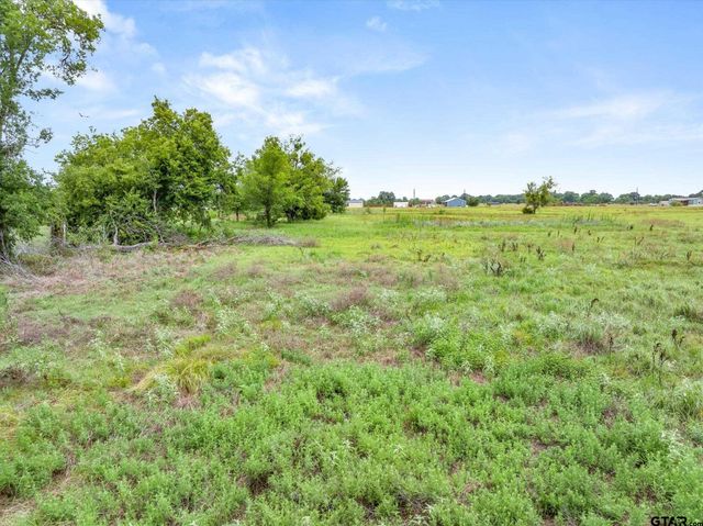 LOT 4R W Cedar PKWY, Kemp, TX 75143