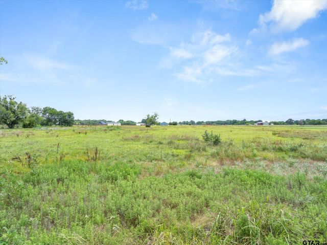 LOT 4R W Cedar PKWY, Kemp, TX 75143