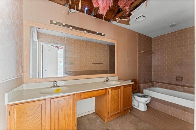 16615 Ivy Grove Drive, Houston, TX 77058