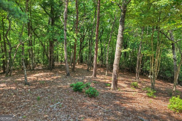 46 Sequoya Trail, Blairsville, GA 30512