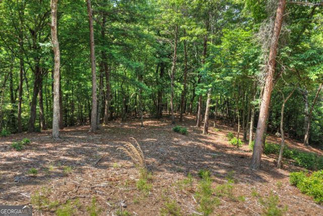 46 Sequoya Trail, Blairsville, GA 30512