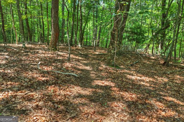 46 Sequoya Trail, Blairsville, GA 30512