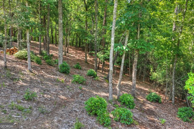 46 Sequoya Trail, Blairsville, GA 30512