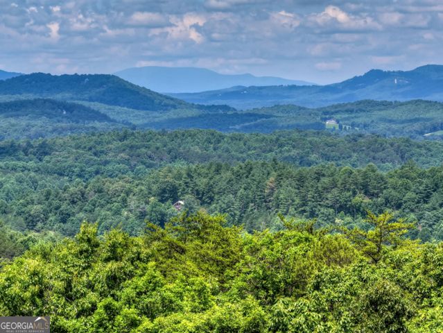 46 Sequoya Trail, Blairsville, GA 30512