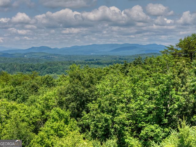 46 Sequoya Trail, Blairsville, GA 30512