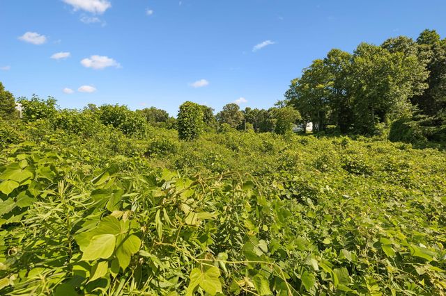 140 Scenic View Lane, Madisonville, TN 37354