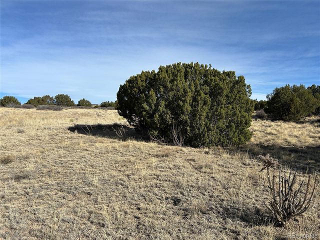 lot 122 Ghost River Ranch, Rye, CO 81069